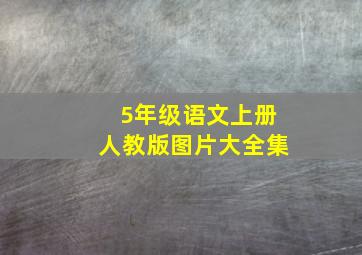 5年级语文上册人教版图片大全集