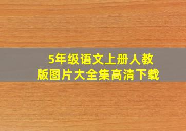 5年级语文上册人教版图片大全集高清下载