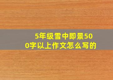 5年级雪中即景500字以上作文怎么写的