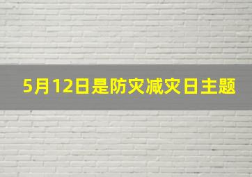 5月12日是防灾减灾日主题