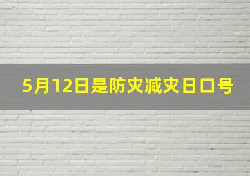 5月12日是防灾减灾日口号