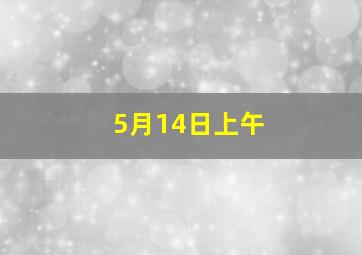 5月14日上午