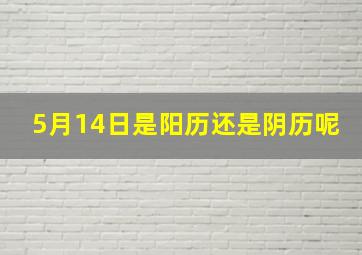 5月14日是阳历还是阴历呢