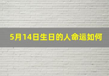 5月14日生日的人命运如何