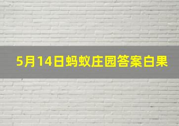 5月14日蚂蚁庄园答案白果