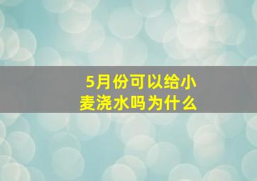 5月份可以给小麦浇水吗为什么