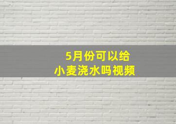 5月份可以给小麦浇水吗视频