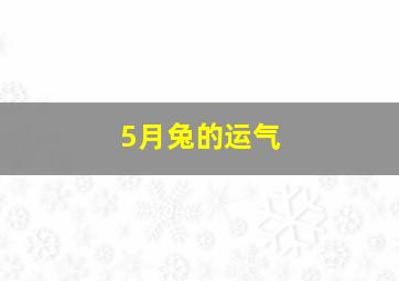 5月兔的运气