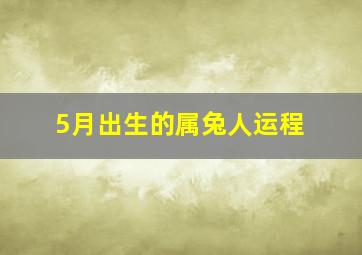 5月出生的属兔人运程