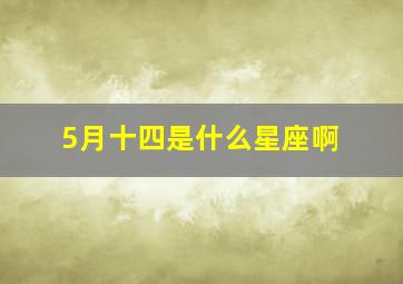 5月十四是什么星座啊