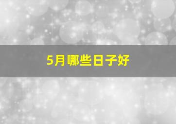 5月哪些日子好