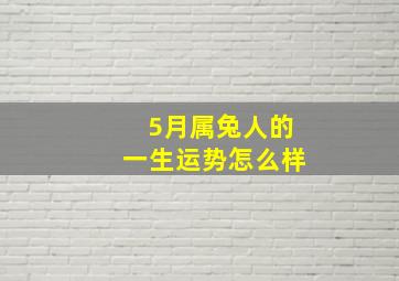 5月属兔人的一生运势怎么样