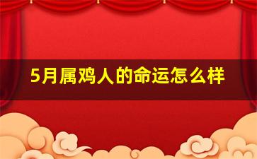 5月属鸡人的命运怎么样