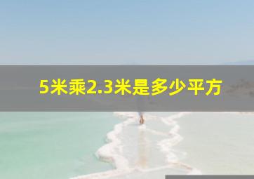 5米乘2.3米是多少平方