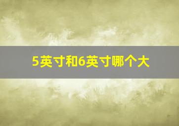 5英寸和6英寸哪个大