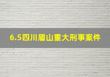 6.5四川眉山重大刑事案件