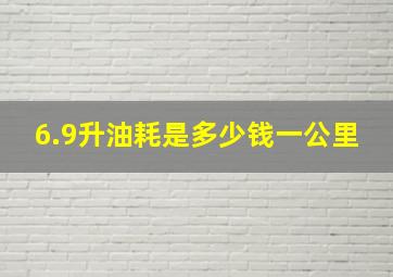 6.9升油耗是多少钱一公里