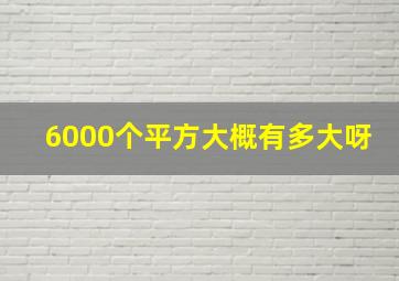 6000个平方大概有多大呀