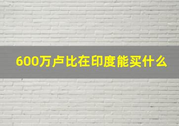 600万卢比在印度能买什么