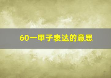 60一甲子表达的意思