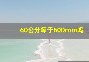 60公分等于600mm吗