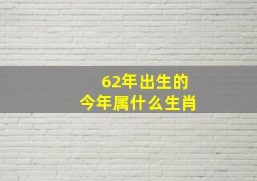 62年出生的今年属什么生肖