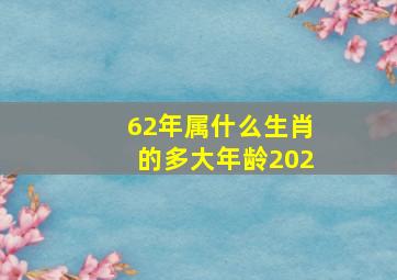 62年属什么生肖的多大年龄202