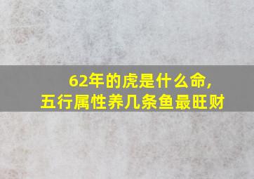 62年的虎是什么命,五行属性养几条鱼最旺财