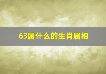 63属什么的生肖属相