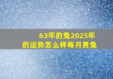 63年的兔2025年的运势怎么样每月男兔