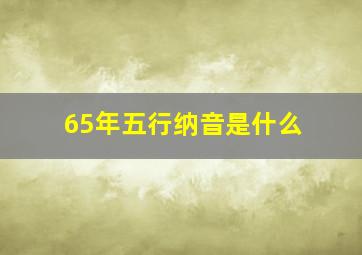 65年五行纳音是什么