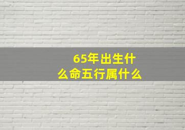 65年出生什么命五行属什么