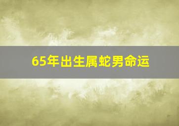 65年出生属蛇男命运