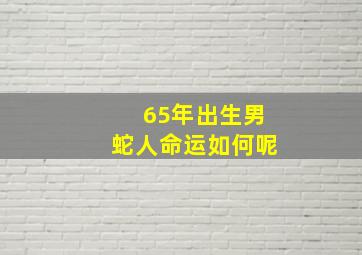 65年出生男蛇人命运如何呢