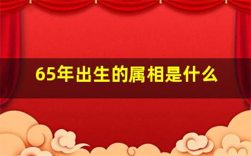 65年出生的属相是什么