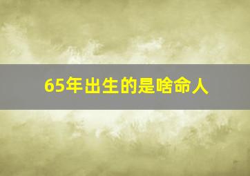 65年出生的是啥命人