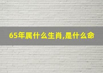 65年属什么生肖,是什么命