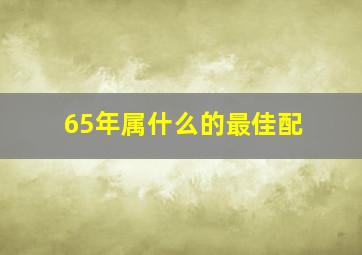 65年属什么的最佳配