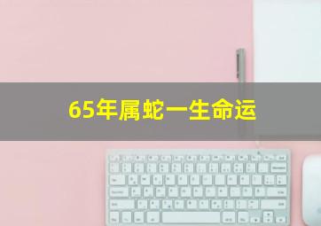 65年属蛇一生命运