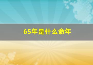 65年是什么命年