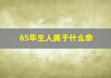 65年生人属于什么命