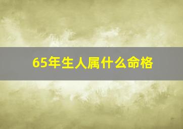 65年生人属什么命格