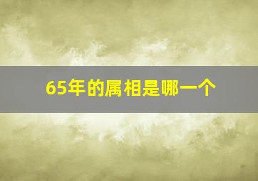 65年的属相是哪一个