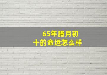 65年腊月初十的命运怎么样