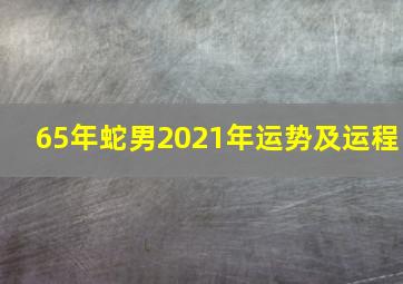 65年蛇男2021年运势及运程