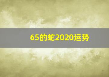 65的蛇2020运势