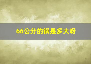 66公分的锅是多大呀