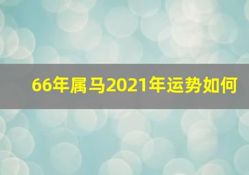 66年属马2021年运势如何