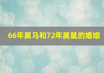 66年属马和72年属鼠的婚姻