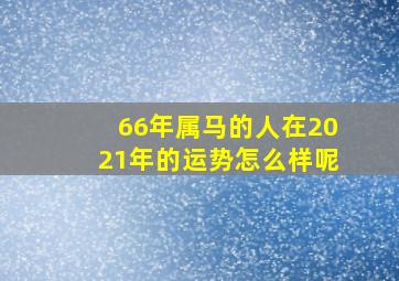 66年属马的人在2021年的运势怎么样呢